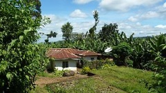 zdroj: OpenImageBank.com zdroj: OpenImageBank.com