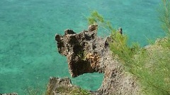 zdroj: OpenImageBank.com zdroj: OpenImageBank.com