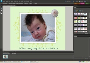 Adobe Photoshop Elements 8