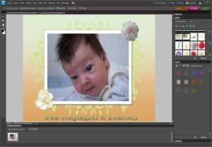 Adobe Photoshop Elements 8